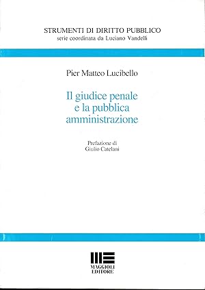 Il giudice penale e la pubblica amministrazione