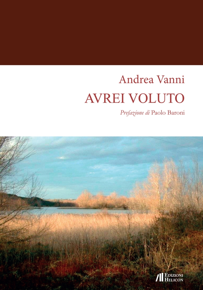 Avrei voluto. - Vanni Andrea