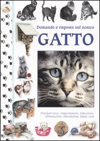 Domande e risposte sul nostro gatto