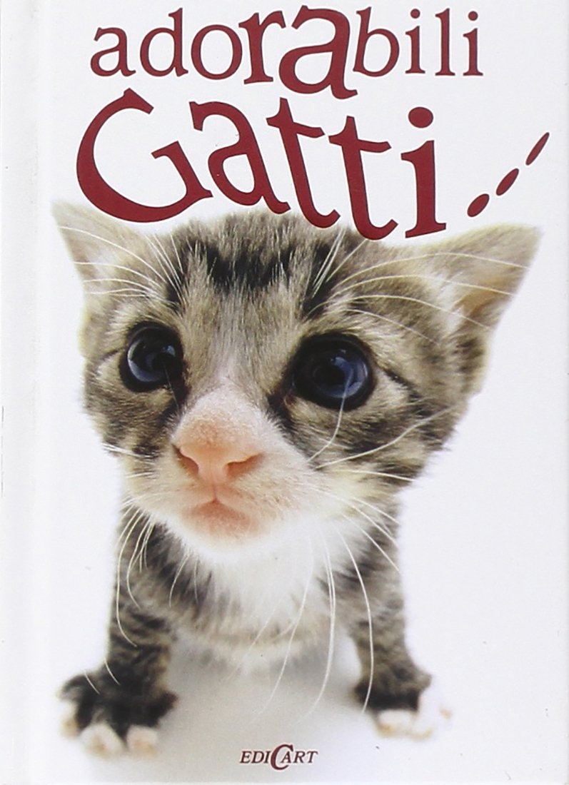 Adorabili gatti. - Macfarlane, Linda Macfarlane, Stuart