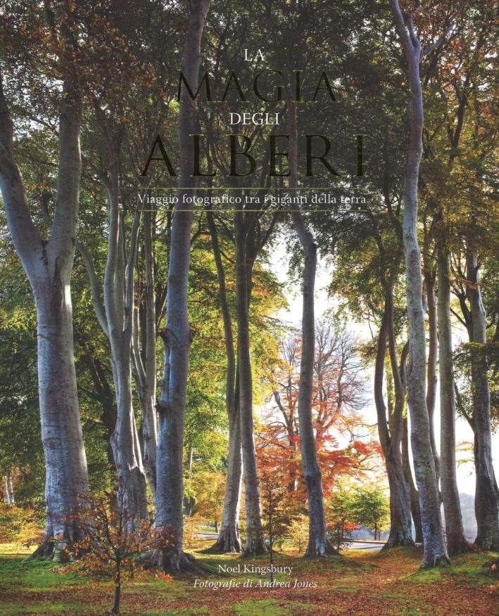 La magia degli alberi. Viaggio fotografico tra i giganti della terra. Ediz. illustrata - Kingsbury Noël