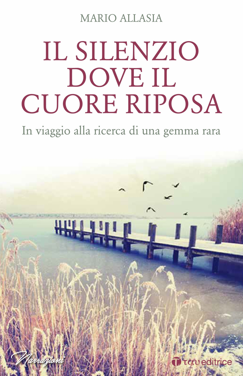 Il Silenzio dove il Cuore Riposa - Allasia Mario