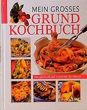 Mein grosses Grundkochbuch: Das ganze Wissen moderner Kochkunst. Über 1 000 erprobte Geling-Rezepte