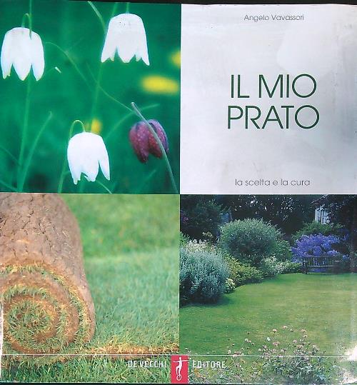 Il mio prato - Angelo Vavassori