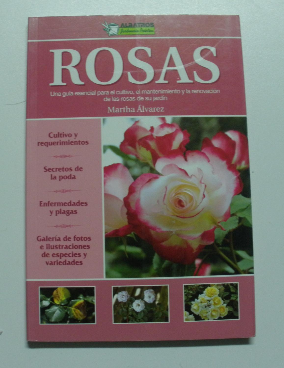 Rosas - Alvarez, Martha