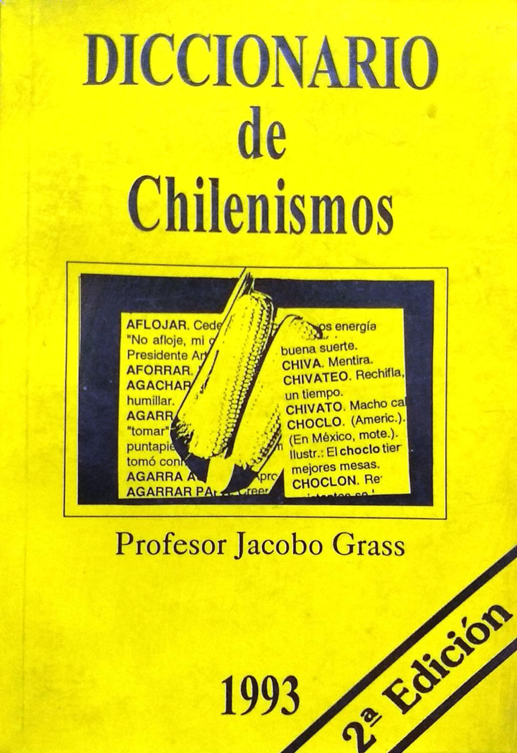 chilenismos diccionario