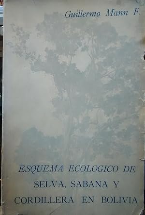 Esquema ecológico de selva, sabana y cordillera en Bolivia