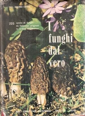 I FUNGHI DAL VERO I^ EDIZIONE