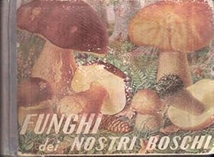 FUNGHI DEI NOSTRI BOSCHI