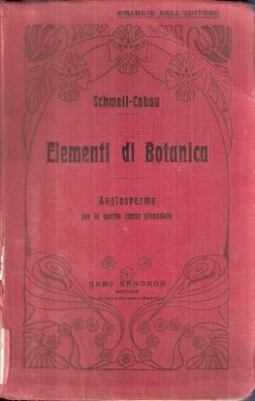 ELEMENTI DI BOTANICA PARTE I ANGIOSPERME