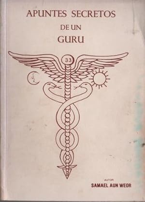 Apuntes secretos de un guru