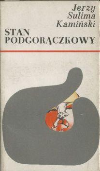 Stan podgoraczkowy. Powiesc