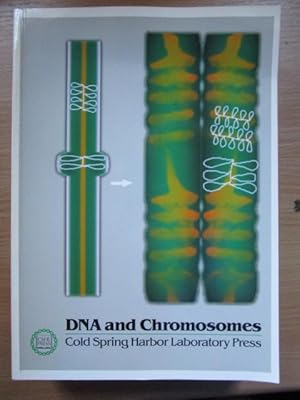 DNA and Chromosomes, Cold Spring Harbor Symposia on Quantitative Biology, Volume LVIII: DNA and C...