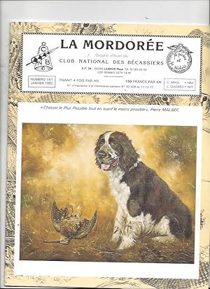 La mordorée