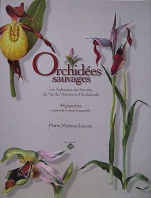 Orchidées sauvages