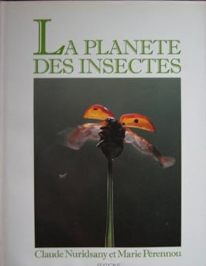 La planète des insectes