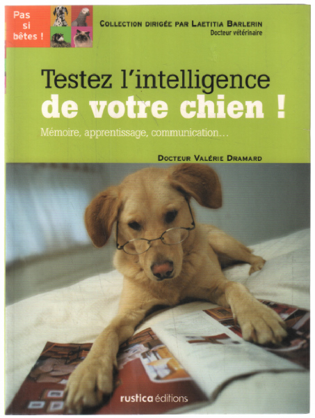 Testez l'intelligence de votre chien : Mémoire apprentissage communication - Dramard Valérie