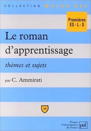 Le roman d'apprentissage : thèmes et sujets