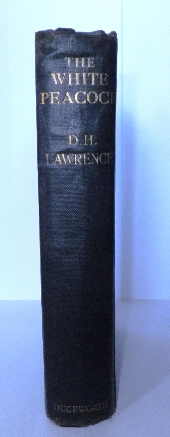 the rainbow novel by dh lawrence the rainbow novel by dh lawrence
