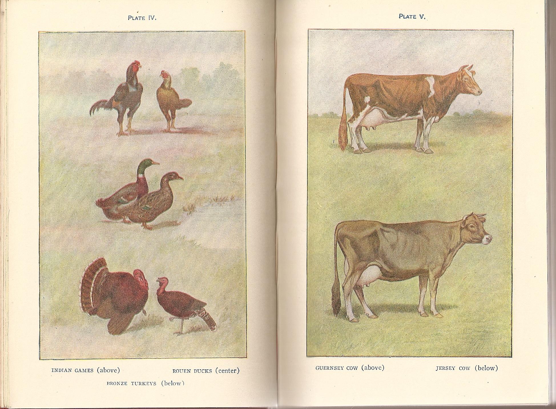 First Principles Of Agriculture - 