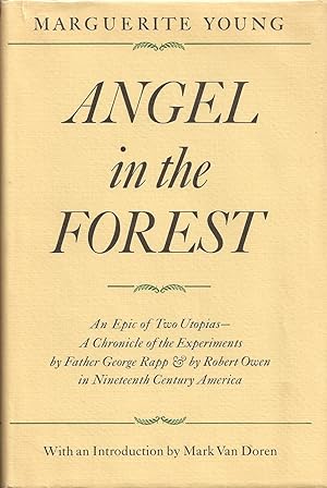 Angle in the Forest