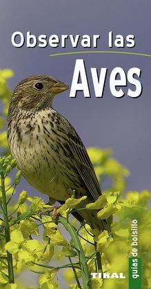 OBSERVAR LAS AVES - DARMANGEAT, PIERRE