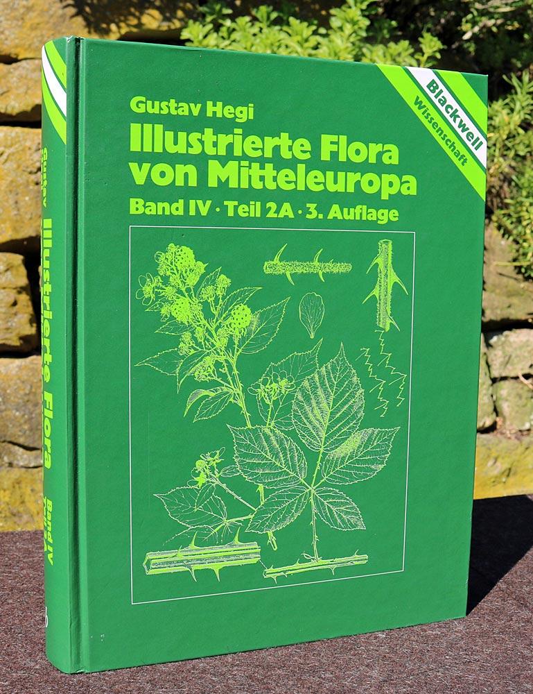 Illustrierte Flora von Mitteleuropa. Pteridophyta - Spermatophyta: Illustrierte Flora von Mitteleuropa, 7 Bde. in Tl.-Bdn. u. Lieferungen, Bd.4/2A, Spermatophyta: Angiospermae: Dicotyledones 2 (2)