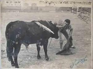 FOTO: Luis Millan EL TERUEL, comiendole el cuerno al toro