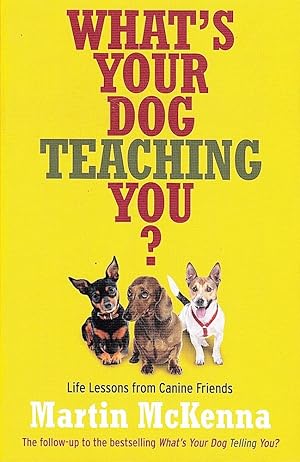 WHAT'S YOUR DOG TEACHING YOU? Life Lessons From Canine Friends.