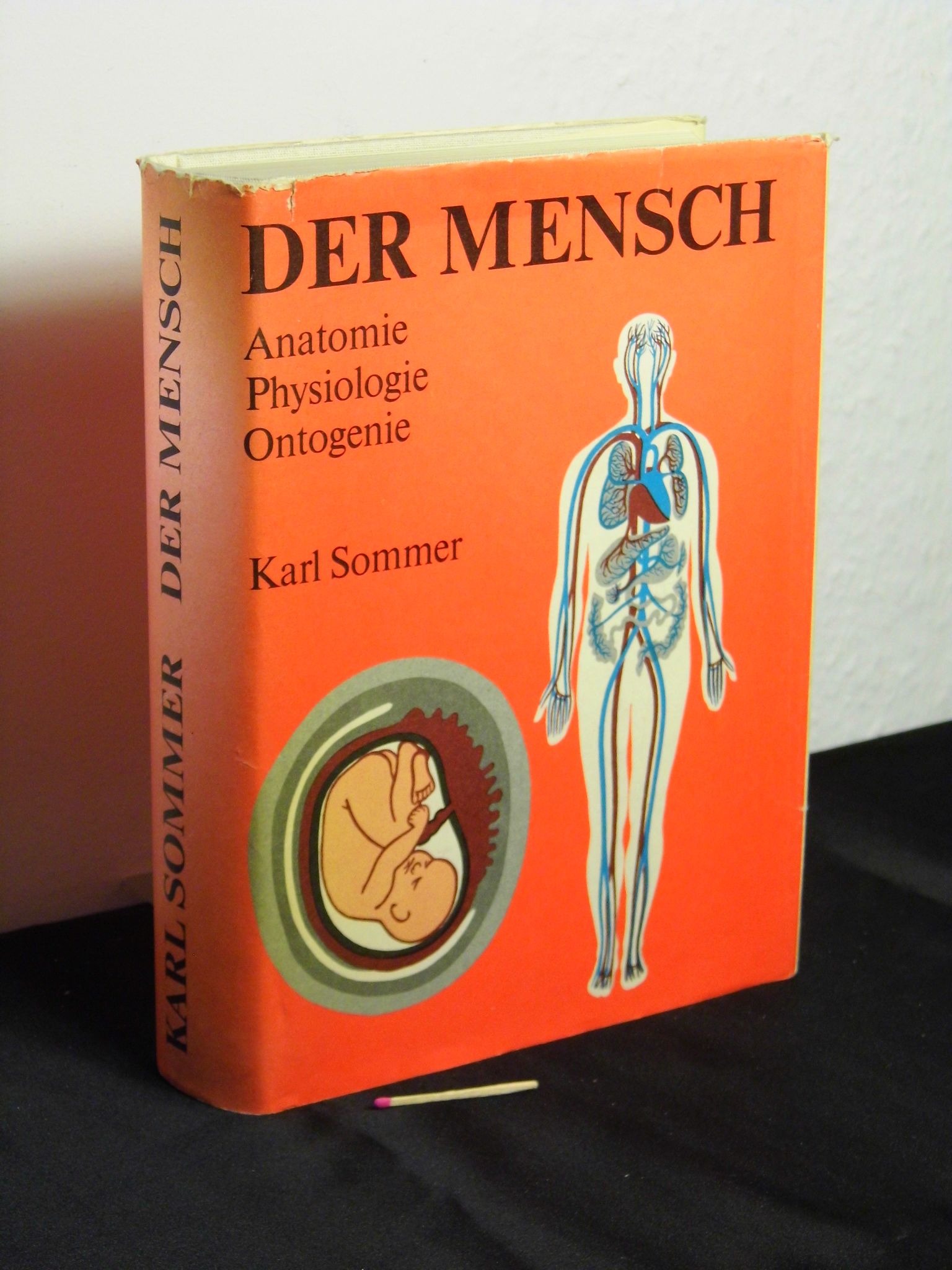 Der Mensch. Anatomie - Physiologie - Ontogenie.