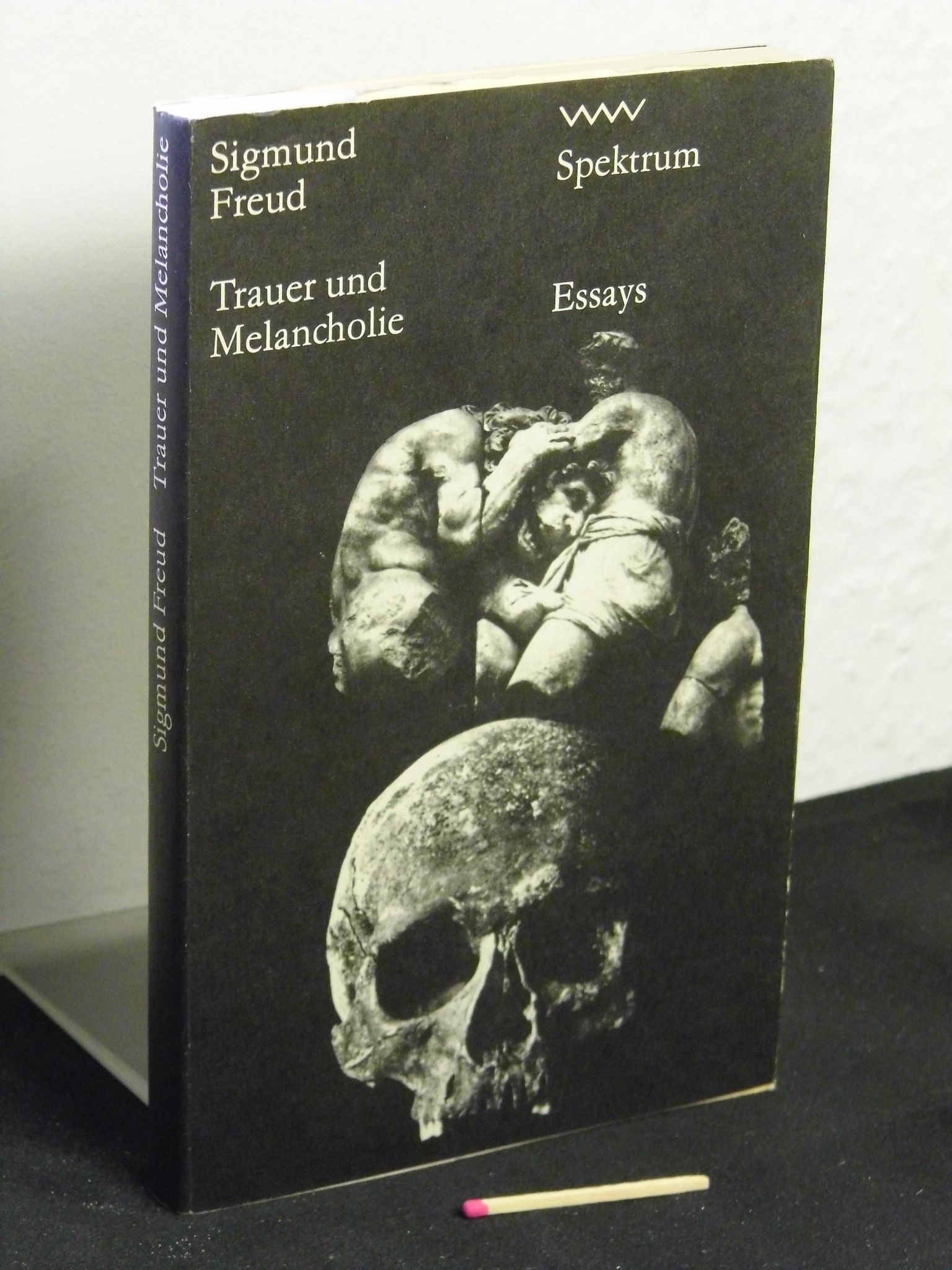 epub Mozart auf der Reise nach Prag 1997
