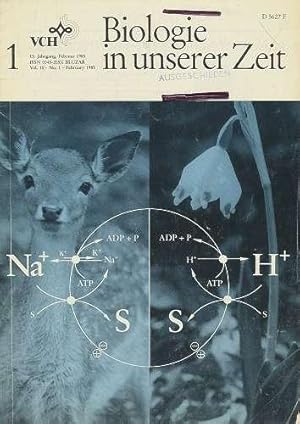 BIOLOGIE - Biologie in unserer Zeit. Konvolut von 6 Heften (1985)