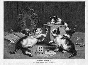 KATZEN - Gefährliche Spielerei. Drei spielende Katzen. Holzstich (um 1880)