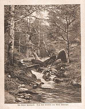 NATUR - Am kühlen Waldquell (um 1895)