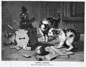 KATZEN - Furchtbare Katastrophe! Drei spielende Katzen. Holzstich (um 1880)