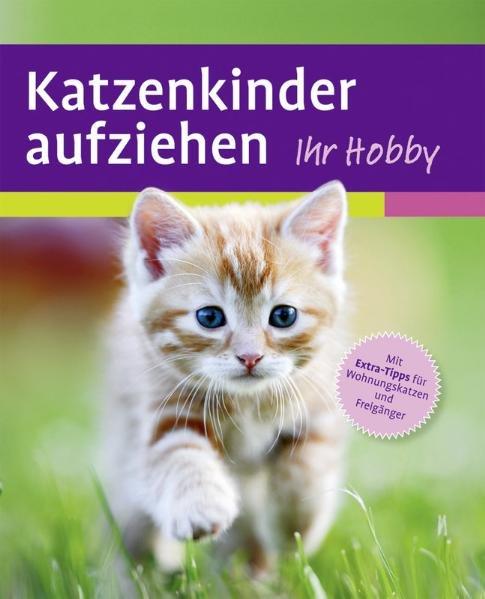 Katzenkinder aufziehen - Evans, Mark