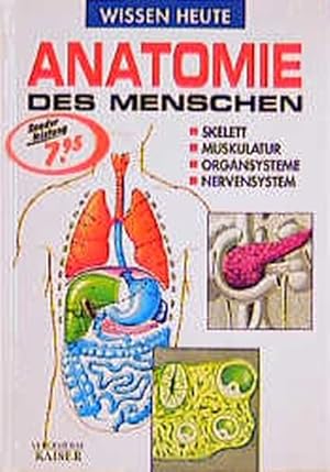 Anatomie des Menschen