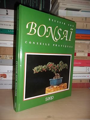 Réussir Son Bonsaï : Conseils Pratiques