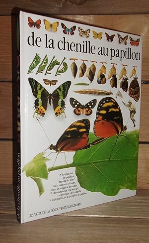 DE LA CHENILLE AU PAPILLON : En association avec le National History Museum, photographies origin...