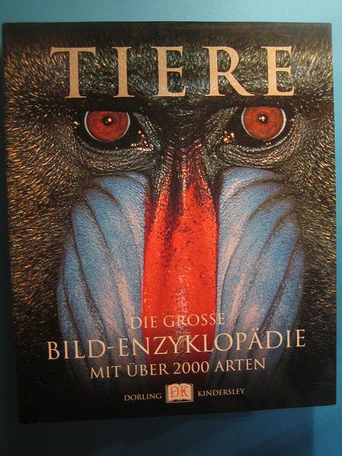 Großes Bild über tiere die grosse bild burnie david zvab Großes Bild über tiere die grosse bild burnie david zvab