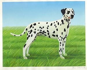 ORIGINAL CHILDREN'S BOOK ART, "SPOTS": DALMATIAN DOG