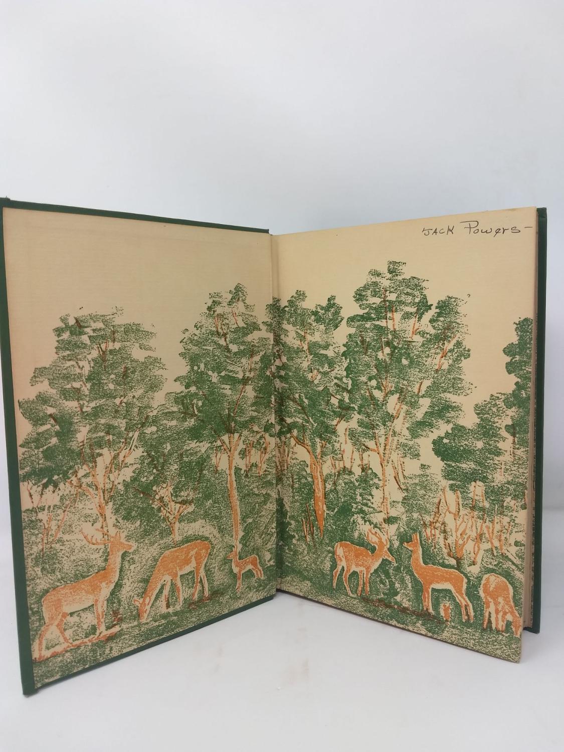bambi a life in the woods by felix salten bambi a life in the woods by felix salten