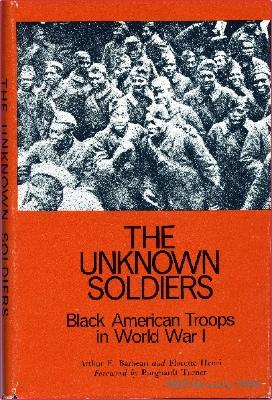 The Unknown Soldiers: Black American Troops in World War I