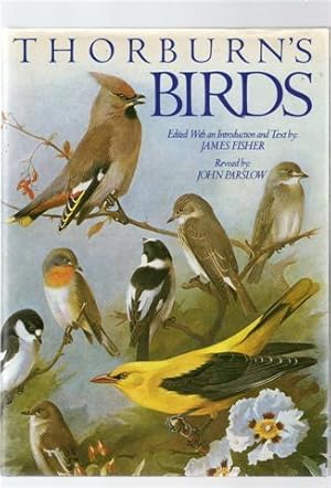 Thorburn's Birds.