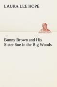 Bunny Brown and His Sister Sue in the Big Woods - Hope, Laura Lee