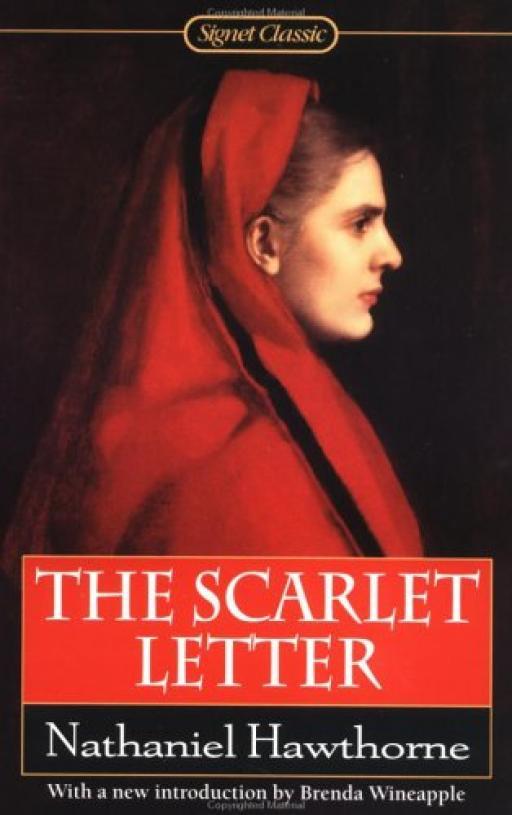a mirror of hawthornes life in the novel the scarlet letter The persistence of theocracy hawthorne’s the scarlet letter of english settlement in america as a mirror that reflects. a mirror of hawthornes life in the novel the scarlet letter The persistence of theocracy hawthorne’s the scarlet letter of english settlement in america as a mirror that reflects.