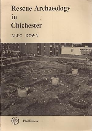 Rescue Archaeology in Chichester