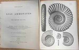 1882: Part Fifth (5) Description of Species: Monograph on the Lias Ammonites of the British Isles...