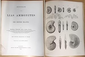 1884: Part Seventh (7) Description of Species: Monograph on the Lias Ammonites of the British Isl...