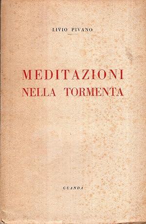 Meditazioni nella tormenta